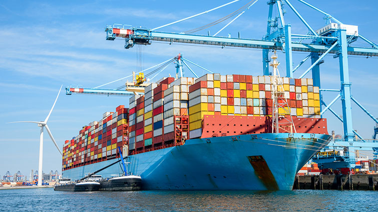 C.H. Robinson ocean freight market update