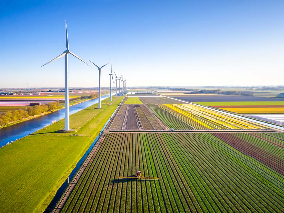 Fields and solar windmills from a plane's view.
