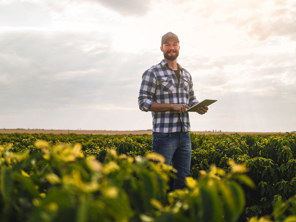 Grower standing in a field of vegetables with an iPad in hand.